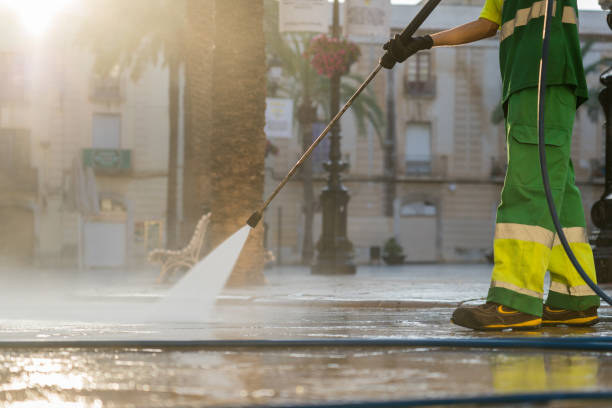 Best Dumpster Area Cleaning  in The Villages, FL